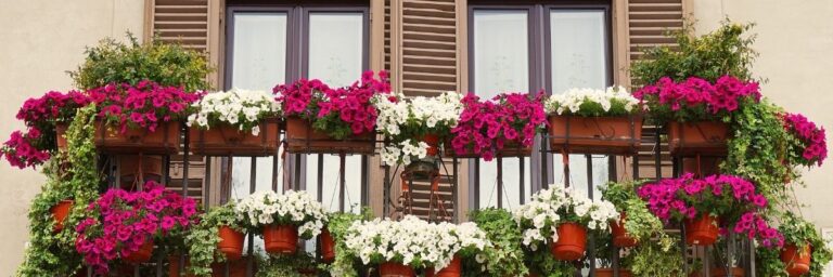 Balkon Bahçeciliği ile Doğal Yaşama İlk Adım