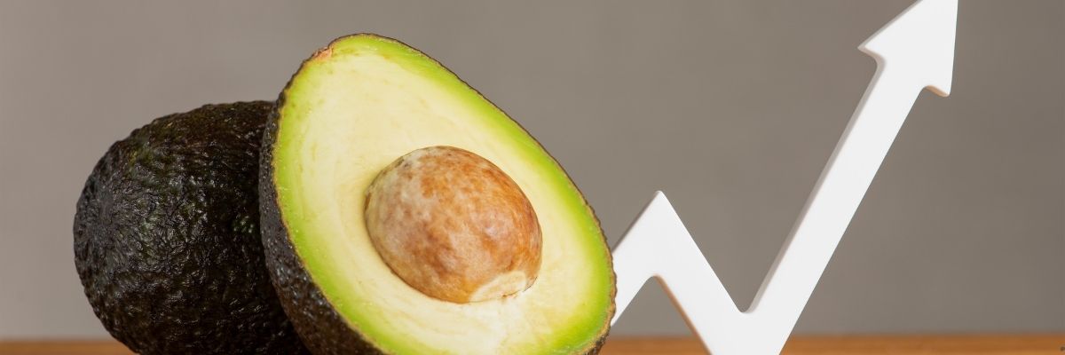 Yerli Tohum Kullanımı ve Doğal Üretimin Önemi