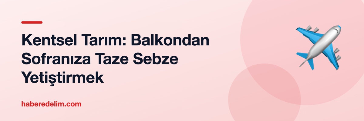 Kentsel Tarım: Balkondan Sofranıza Taze Sebze Yetiştirmek